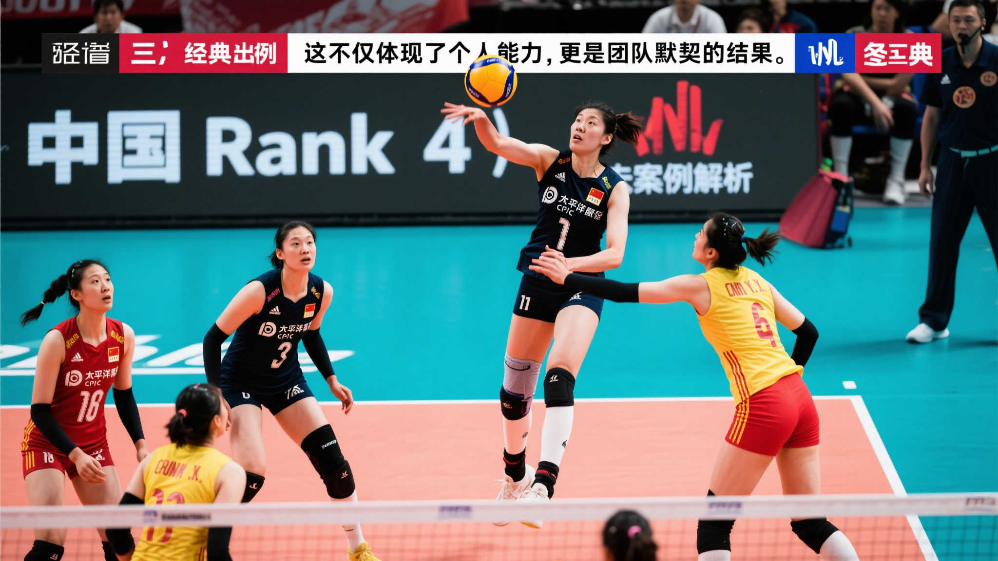 央视体育晨报：中国女排最新动态文字报道